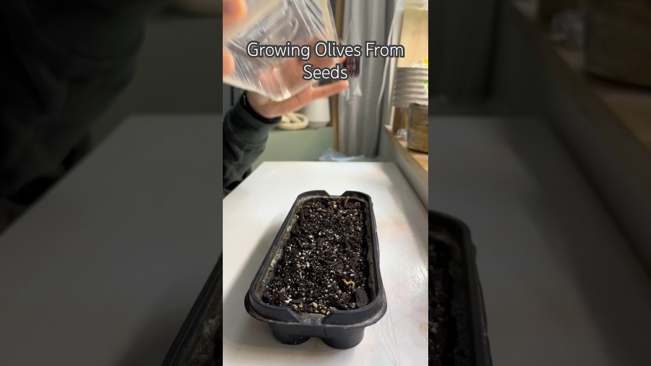 3 gallon planter pots FloraFlex Pot Pro main image 0