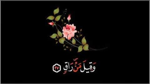 تلاوة مريحة للقلب من سورة القيامة 💚🎧/ حالات واتس اب دينية