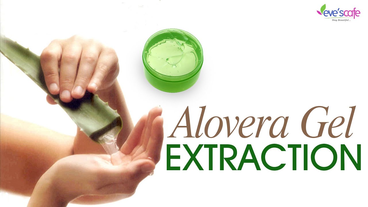 Extracting Aloe Vera Gel From The Plant Diy Youtube