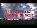 Три выезда на скошенное поле #91