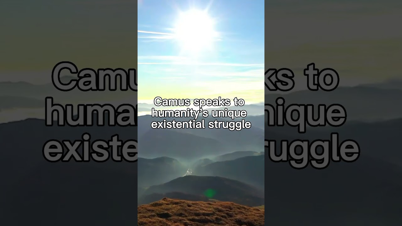 Embracing Existence: Camus' Reflection on Human Identity