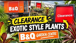 Half Price Plants at B&Q!