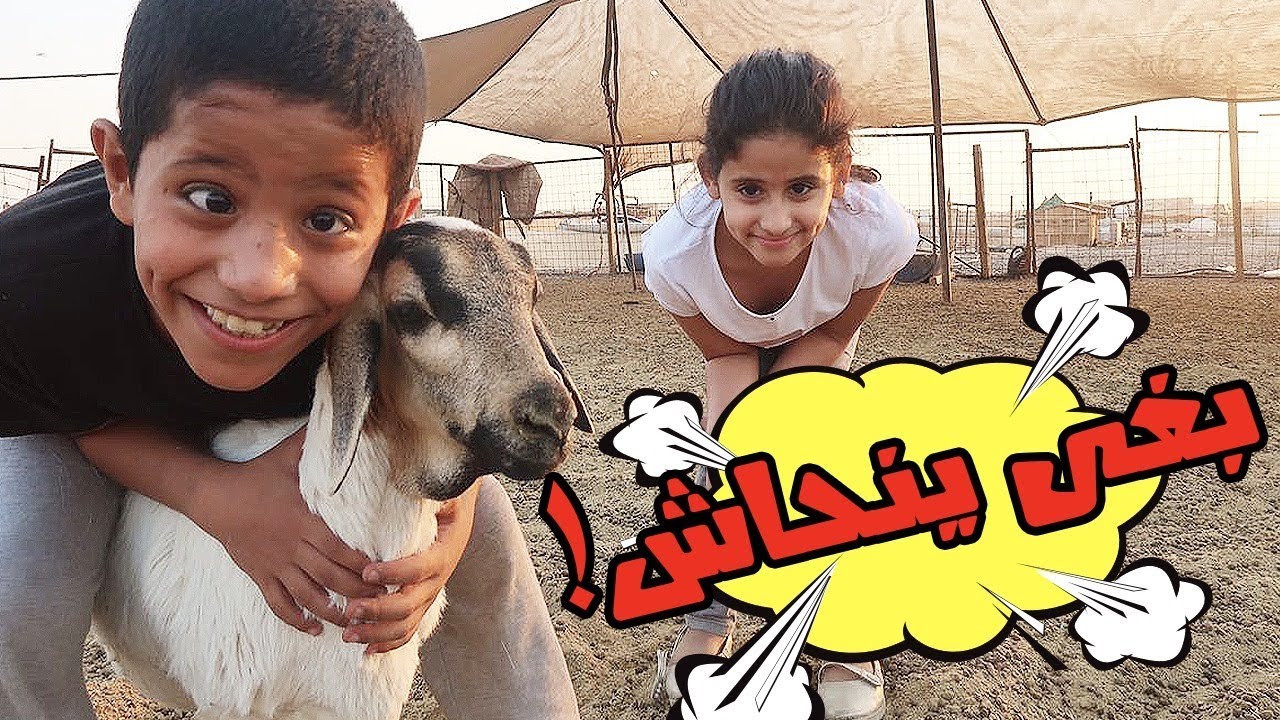 تحدي في حوش الغنم بين حمدة وشريدة | 60 ثانية من يمسك الخروف | تحدي خطير لايفوتكم!😂