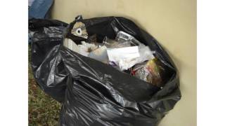 Bin bag