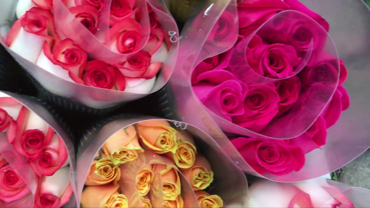 OYACACHI, milagros en el misterioso valle de sal!