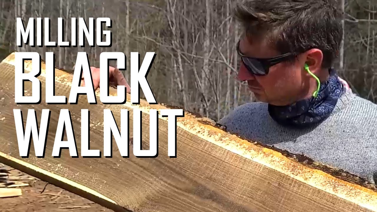 Milling black walnut // E122 Walnut YouTube
