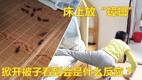 小男孩起床不疊被子，媽媽怒放20隻假蟑螂到床上懲罰他們 - 天天要聞