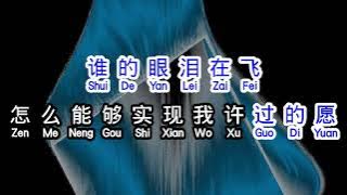 孟庭苇  《 谁的眼泪在飞 》  shui de yan lei zai fei