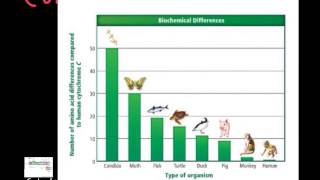 Evidence For Evolution Part 2