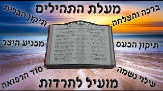 מי שקורא תהילים כל יום נחשב לו כאילו קיים את כל התורה כולה (החיד