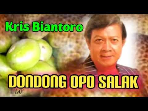 DONDONG OPO SALAK   Kris Biantoro