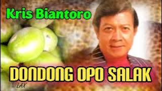 DONDONG OPO SALAK - Kris Biantoro