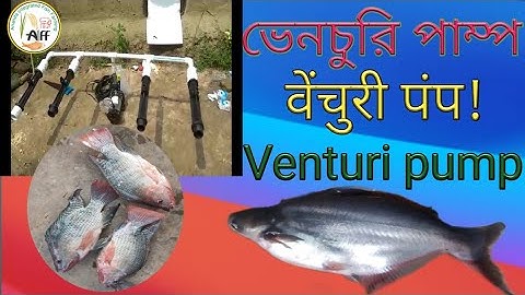 Venturi Water Pump.... How to Aerate & Oxygenate in your Pond for High Density Fish culture...