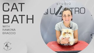 CAT BATH  COMPLETE GROOMING (TRAILER)