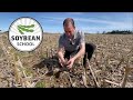 Soybean school controlling weeds after a warm winter