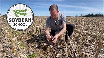 Soybean School: Controlling weeds after a warm winter