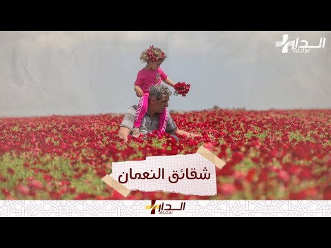 زهرة بلعمان لماذا سميت بهذا الاسم