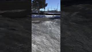 IMG 9261