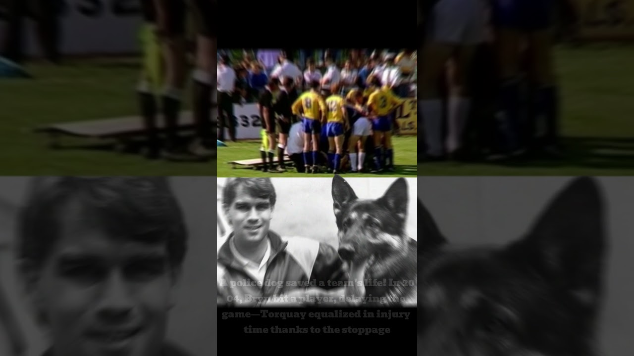 Football Facts SO CRAZY They Sound FAKE! 😱⚽ 