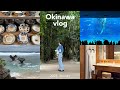 【沖縄vlog】冬の沖縄も楽しい!🏝️/定番スポット巡り🌺/おすすめホテル/美ら海水族館🐠/やちむんの里/古宇利島etc...