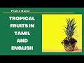 Tropical Fruits Name in Tamil and English - Simbhakidstv