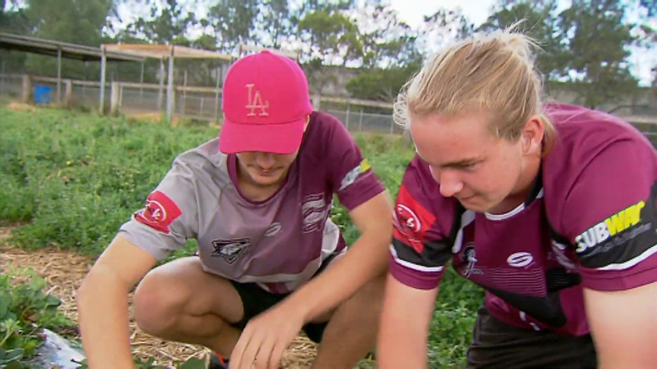 Beenleigh State High School Paddock 2 plate YouTube