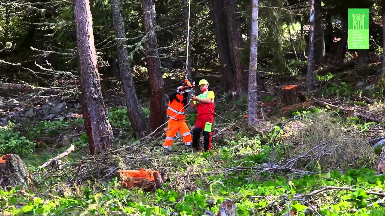 Centre Forestier La Bastide Des Jourdans Pronote