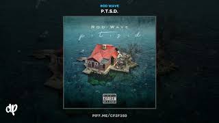 Rod Wave - Hard Times [P.T.S.D.]