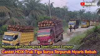 Canter HDX Truk Tiga Surya Terpuruk Nyaris Rebah, Rombongan Gunung Sawit Offroad