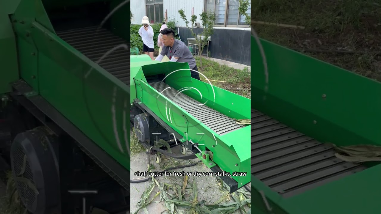 Silage Forage Chaff Cutter Machine | Feed Chopper | Fresh Corn Stalks Chopper