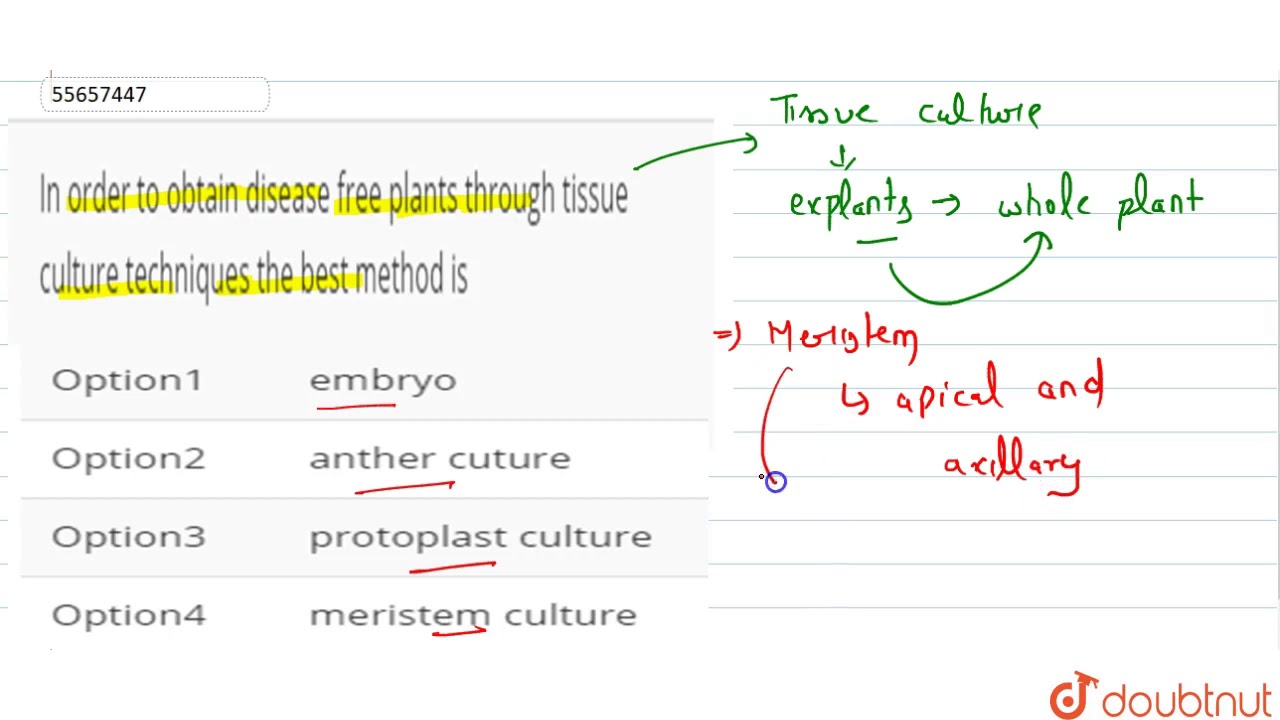 In order to obtain disease free plants through tissue culture techniques the best method is