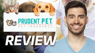 Prudent Pet Insurance Review | Is It Worth It? (2024)