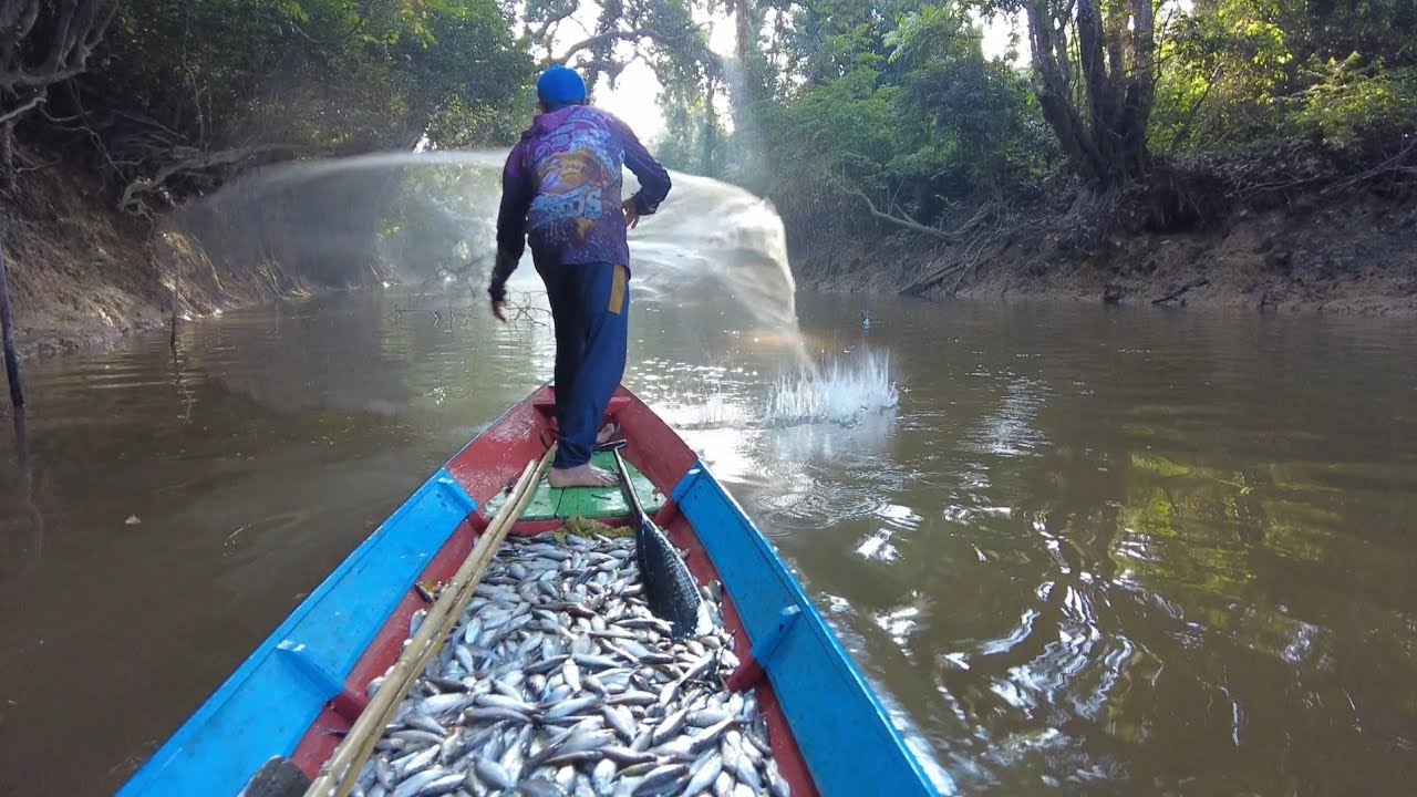 KEMBALI MENJALA KAWANAN IKAN YANG SEDANG TURUN