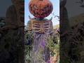 Neighborhood Halloween decorations.