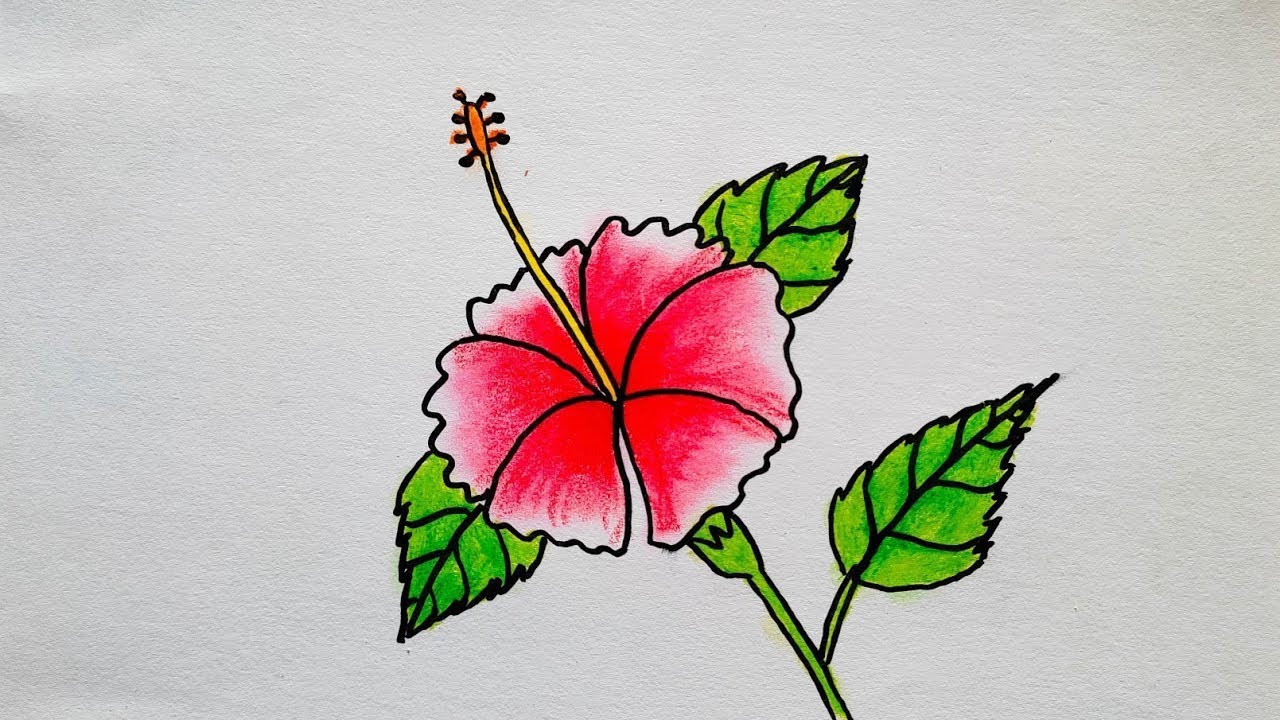 Hibiscus Flower Drawing In Circle | गुड़हल का फूल कैसे बनाते हैं ...