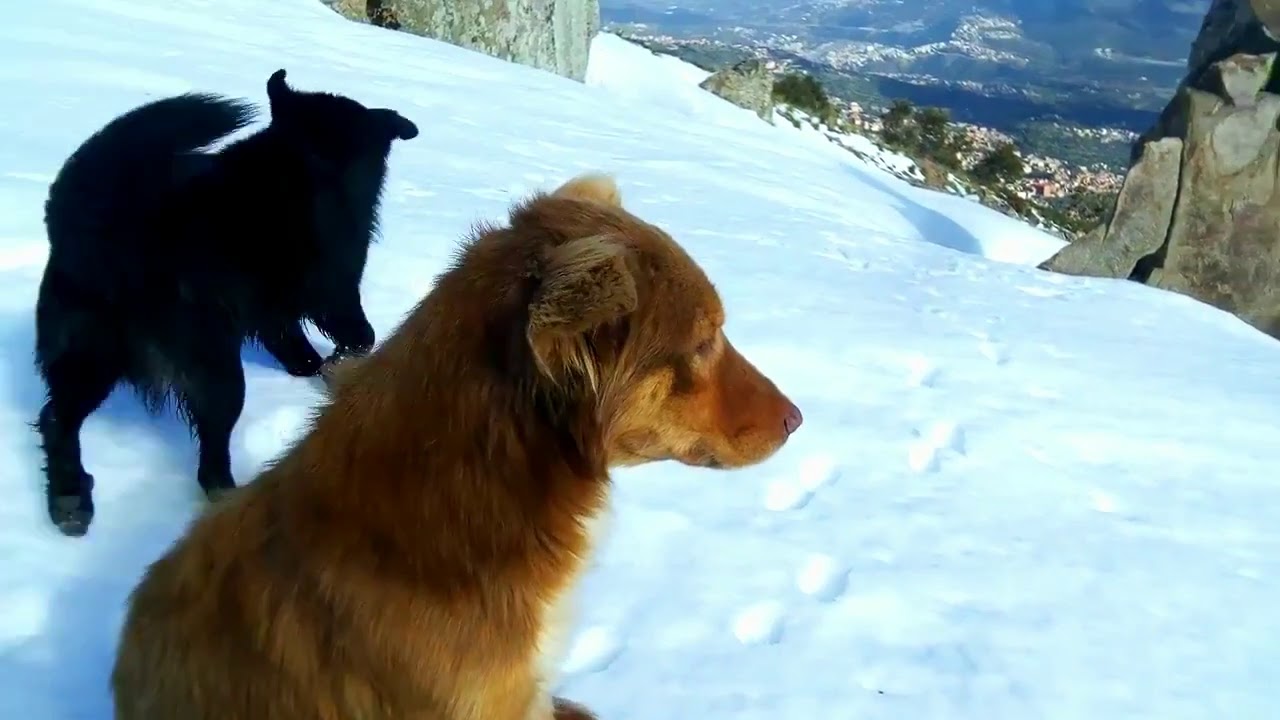 Bejaia:Sur Les Hauteurs De Chemini