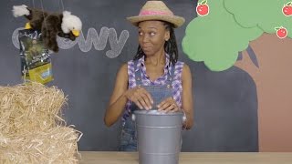 Purina Pro Plan Natural Dog Food | Chewy