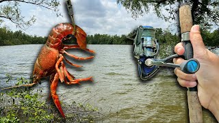 Tossing Live Crawfish In a Mississippi River Pond (Catch and Cook)