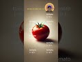 「Tomato」という言葉をすぐに覚える #english #vocabulary #tomato