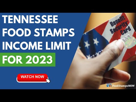 Https //Www.Tn.Gov Food Stamps