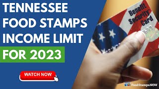 Tennessee Food Stamp Income Limits for 2023