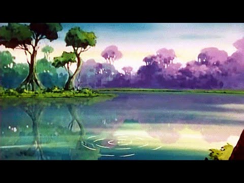 after noon - Botanical [Full EP]