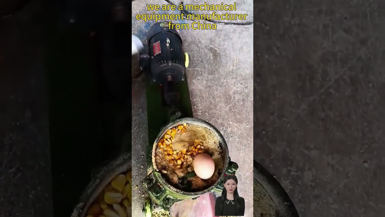 New feed pellet machine manufacturer, small production line