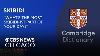 "Skibidi,” “Tradwife," "Delulu" among 6,000 words added to Cambridge Dictionary | Hand Off