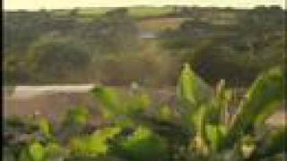 The Track - Cornwall