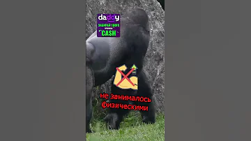 😱 ГОРИЛЛА ОТКРЫЛА МИРУ НОВЫЙ СТИЛЬ ТРЕНИРОВОК 💪 #шортс #факты #тренировка #тренды
