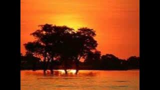 forever young (sung by children/kids band)