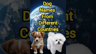 Dog Names From Different Countries #dogs #dognames #pets #doglover #countries #animals #worldwide