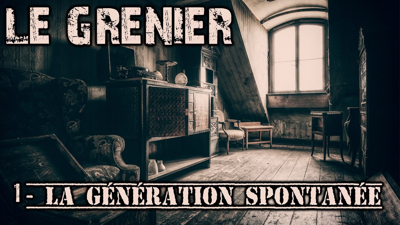 LA GÉNÉRATION SPONTANÉE le grenier #1