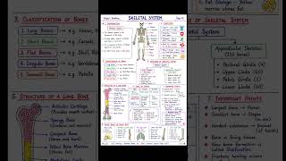 Title: 🔥 Skeletal System in ONE VIDEO: Pura Chapter ek hi baar me khatam! 🦴 NORCET/RRB/Nursing Notes